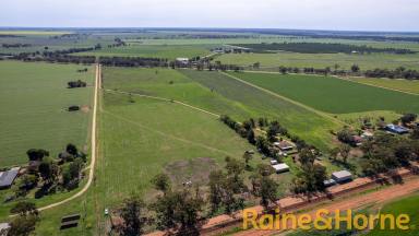 Farm For Sale - NSW - Narromine - 2821 - Build Your Dream Lifestyle on 12 Acres  (Image 2)