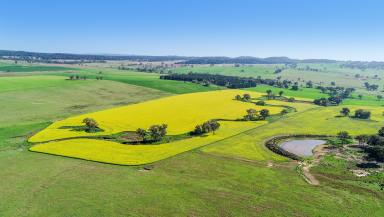 Farm Auction - NSW - Goolma - 2852 - Productive Property Midway Between Mudgee, Wellington & Dubbo  (Image 2)