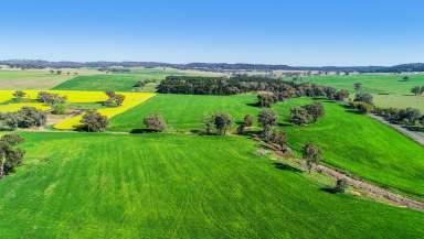 Farm For Sale - NSW - Goolma - 2852 - Productive Property Midway Between Mudgee, Wellington & Dubbo  (Image 2)