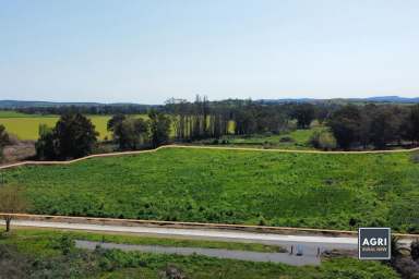 Farm For Sale - NSW - Canowindra - 2804 - 5.33 acres of high productive land, located in the heart of Canowindra!  (Image 2)