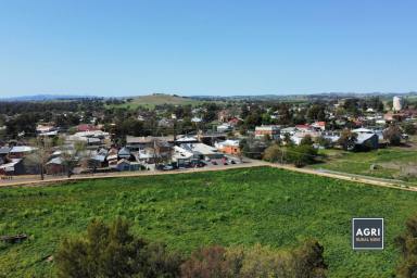 Farm For Sale - NSW - Canowindra - 2804 - 5.33 acres of high productive land, located in the heart of Canowindra!  (Image 2)