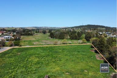 Farm For Sale - NSW - Canowindra - 2804 - 5.33 acres of high productive land, located in the heart of Canowindra!  (Image 2)