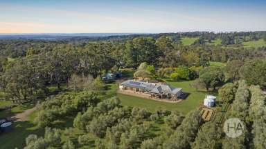 Farm For Sale - VIC - Merricks North - 3926 - 12 Acres with Olive Grove, Farm Stay Cottage, and Stylish Limestone Residence  (Image 2)