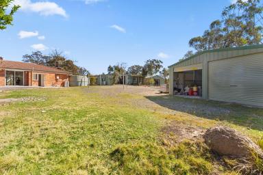 Farm For Sale - NSW - Oallen - 2622 - 394 Jerralong Road Oallen ~ Large Retreat or Family Home  (Image 2)