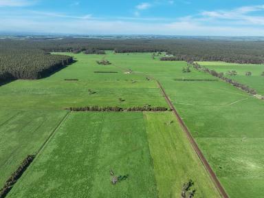 Farm For Sale - VIC - Carpendeit - 3260 - QUALITY COLAC – COBDEN DISTRICT PROPERTY  (Image 2)