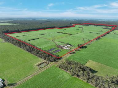 Farm For Sale - VIC - Carpendeit - 3260 - QUALITY COLAC – COBDEN DISTRICT PROPERTY  (Image 2)