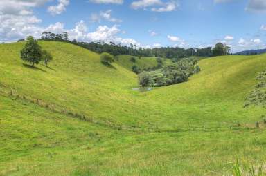 Farm Sold - QLD - Millaa Millaa - 4886 - PREMIUM TABLELANDS CATTLE BREEDING & LIFESTYLE PROPERTY  (Image 2)