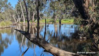 Farm For Sale - WA - Gingin - 6503 - "Baramba" A Once in a Lifetime Opportunity!!!  (Image 2)