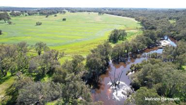 Farm For Sale - WA - Gingin - 6503 - "Baramba" A Once in a Lifetime Opportunity!!!  (Image 2)