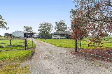 Farm For Sale - WA - Bullsbrook - 6084 - "Unique Diversity"  (Image 2)