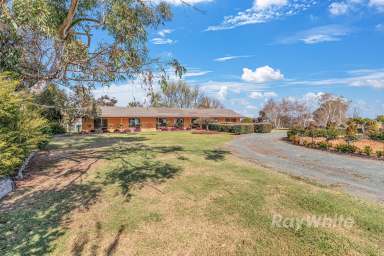 Farm For Sale - VIC - Ballendella - 3561 - Secluded Country Gem  (Image 2)