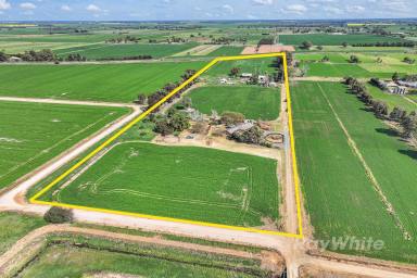 Farm For Sale - VIC - Ballendella - 3561 - Secluded Country Gem  (Image 2)