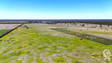 Farm Sold - NSW - Bohena Creek - 2390 - 405.35AC* IDEAL BUILD UP BLOCK WITH IRRIGATION LICENCE & INFRASTRUCTURE  (Image 2)