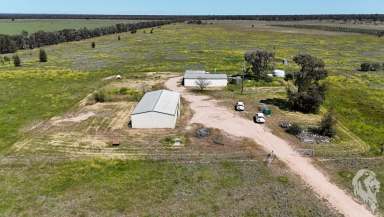 Farm Sold - NSW - Bohena Creek - 2390 - 405.35AC* IDEAL BUILD UP BLOCK WITH IRRIGATION LICENCE & INFRASTRUCTURE  (Image 2)