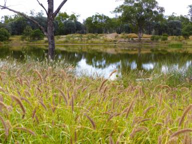 Farm Auction - QLD - St George - 4487 - Secure Breeding Country with Highway Frontage  (Image 2)