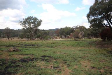 Farm For Sale - QLD - Stanthorpe - 4380 - YOUR DREAM LOCATION - $560,000  (Image 2)