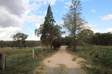 Farm For Sale - QLD - Stanthorpe - 4380 - YOUR DREAM LOCATION - $560,000  (Image 2)