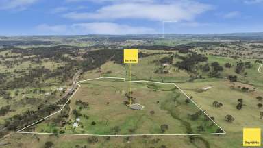 Farm For Sale - NSW - Armidale - 2350 - "The Block" - There's No Place Like Home  (Image 2)