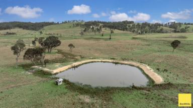 Farm Tender - NSW - Armidale - 2350 - "The Block" - There's No Place Like Home  (Image 2)