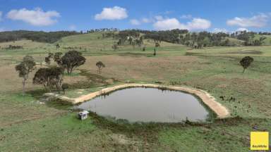 Farm For Sale - NSW - Armidale - 2350 - "The Block" - There's No Place Like Home  (Image 2)