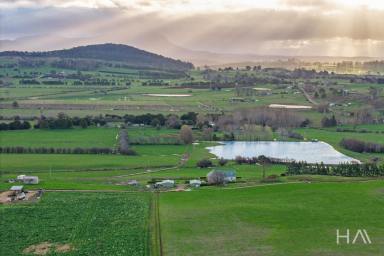 Farm For Sale - TAS - Dunorlan - 7304 - Gowan Braes: A Landmark Agricultural Property in Tasmania's Heartland  (Image 2)