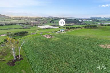 Farm For Sale - TAS - Dunorlan - 7304 - Gowan Braes: A Landmark Agricultural Property in Tasmania's Heartland  (Image 2)