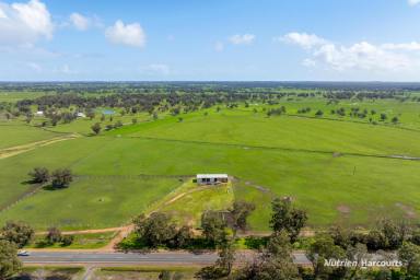 Farm For Sale - WA - Brunswick - 6224 - ROELANDS/BRUNSWICK  (Image 2)