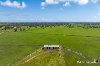 Farm For Sale - WA - Brunswick - 6224 - ROELANDS/BRUNSWICK  (Image 2)