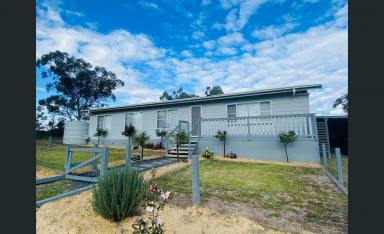 Farm For Sale - NSW - Inverell - 2360 - Rural/Lifestyle Living - All the hard work is done  (Image 2)