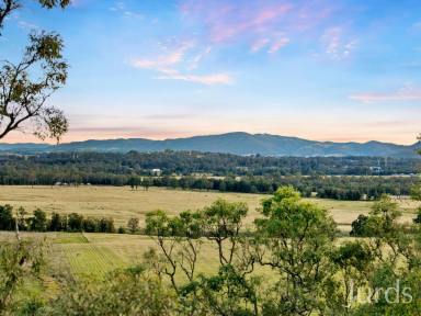 Farm For Sale - NSW - Lovedale - 2325 - MANZANILLA RIDGE LOVEDALE – A Unique Lifestyle Investment  (Image 2)