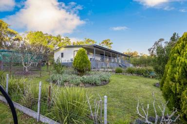 Farm For Sale - VIC - Hillcrest - 3351 - Private 3-Bedroom Home on 20 Picturesque Acres with additional bungalow with bathroom.  (Image 2)