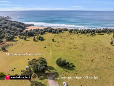 Farm For Sale - NSW - Murrah - 2546 - Outstanding 14 acres -High Above the Nearby Coastline  (Image 2)