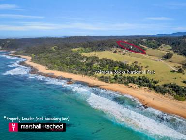 Farm For Sale - NSW - Murrah - 2546 - Outstanding 14 acres -High Above the Nearby Coastline  (Image 2)