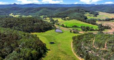 Farm For Sale - NSW - Wollombi - 2325 - Prime Wollombi Acreage!  (Image 2)