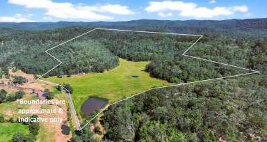 Farm For Sale - NSW - Wollombi - 2325 - Prime Wollombi Acreage!  (Image 2)