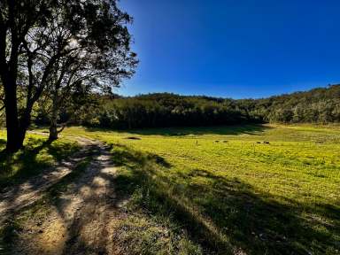 Farm For Sale - NSW - Wollombi - 2325 - Prime Wollombi Acreage!  (Image 2)