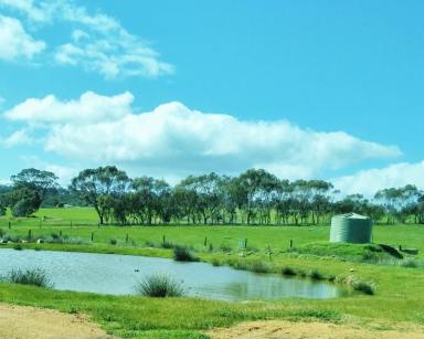 Farm For Sale - WA - Wandering - 6308 - 100 Acre's of Prime Farm Land  (Image 2)