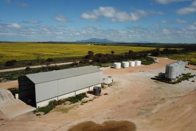 Farm For Sale - WA - Cowalellup - 6336 - Kinta West  (Image 2)