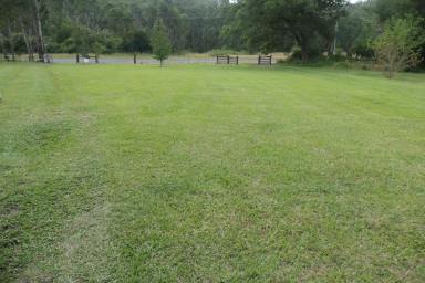 Farm For Sale - NSW - Drake Village - 2469 - A NATURE TRAIL  (Image 2)