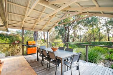 Farm For Sale - VIC - Woori Yallock - 3139 - SPACIOUS FAMILY HOME WITH STUDIO AND BEAUTIFULLY LANDSCAPED ACREAGE  (Image 2)