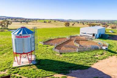 Farm For Sale - NSW - Greenethorpe - 2809 - EXCELLENT FARMING & GRAZING COUNTRY!  (Image 2)