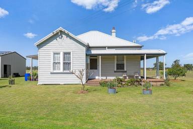 Farm For Sale - NSW - Williamtown - 2318 - CHARMING RENOVATED FARMHOUSE ON 2 ACRES WITH STUNNING VIEWS  (Image 2)