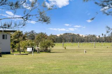 Farm For Sale - NSW - Williamtown - 2318 - CHARMING RENOVATED FARMHOUSE ON 2 ACRES WITH STUNNING VIEWS  (Image 2)