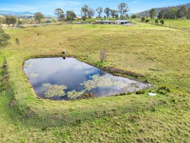 Farm For Sale - NSW - Cobargo - 2550 - VILLAGE LIFESTYLE  (Image 2)