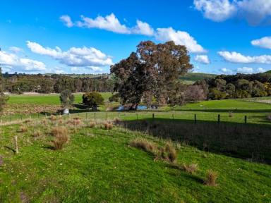 Farm Auction - VIC - Gritjurk - 3315 - AUCTION - October 18th, 2024 @ 11 am on site : "Calton Hill"  -  709.86 Ac – 287.27 Ha approx.  (Image 2)