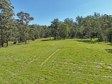 Farm For Sale - NSW - Coopernook - 2426 - Space To Build Your Dream Home...  (Image 2)