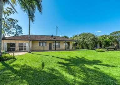 Farm For Sale - NSW - Clunes - 2480 - A Unique Rural Opportunity  (Image 2)