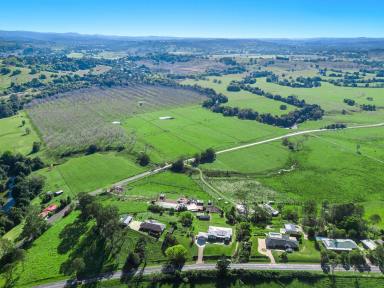 Farm For Sale - NSW - Richmond Hill - 2480 - Income Producing Pecan Farm  (Image 2)