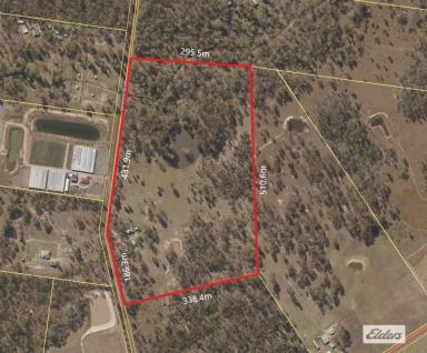 Farm For Sale - QLD - Churchable - 4311 - Dams, Bore, House, Shed - What more could you want?  (Image 2)