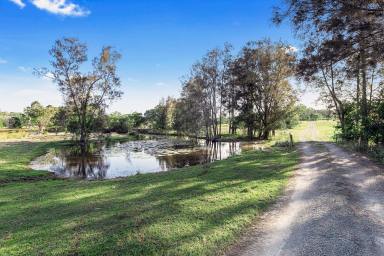 Farm For Sale - QLD - Mungar - 4650 - Self Sufficient Homestead with Spectacular Countryside Views  (Image 2)